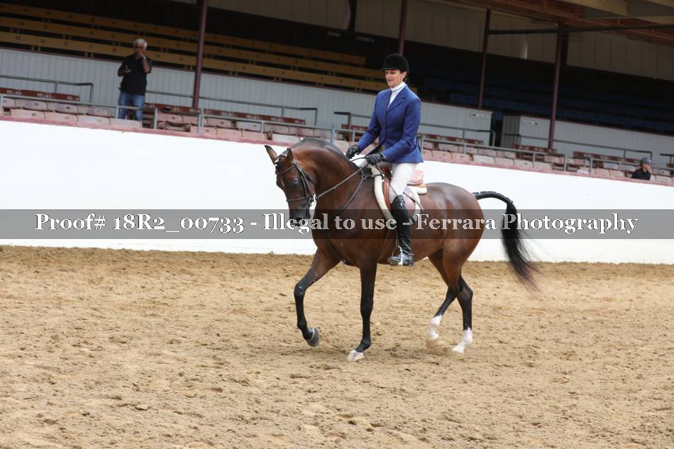 Proof 18R2_00733