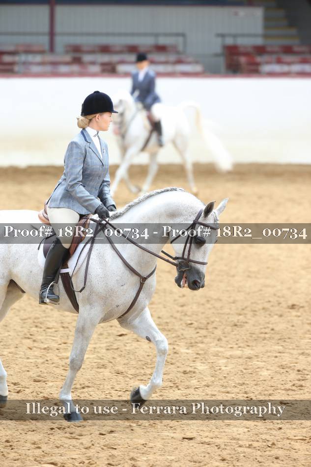 Proof 18R2_00734