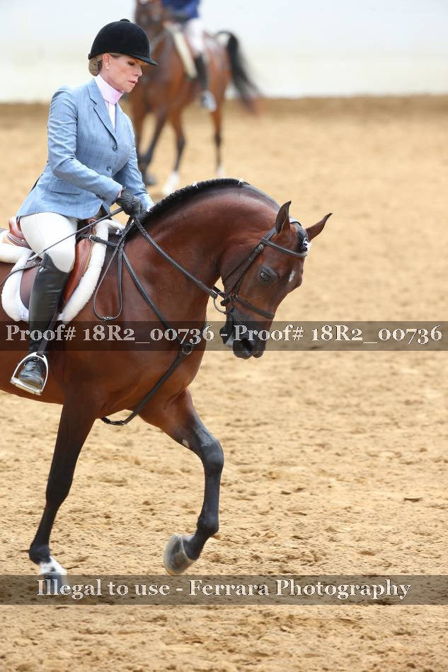 Proof 18R2_00736