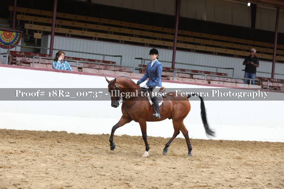 Proof 18R2_00737