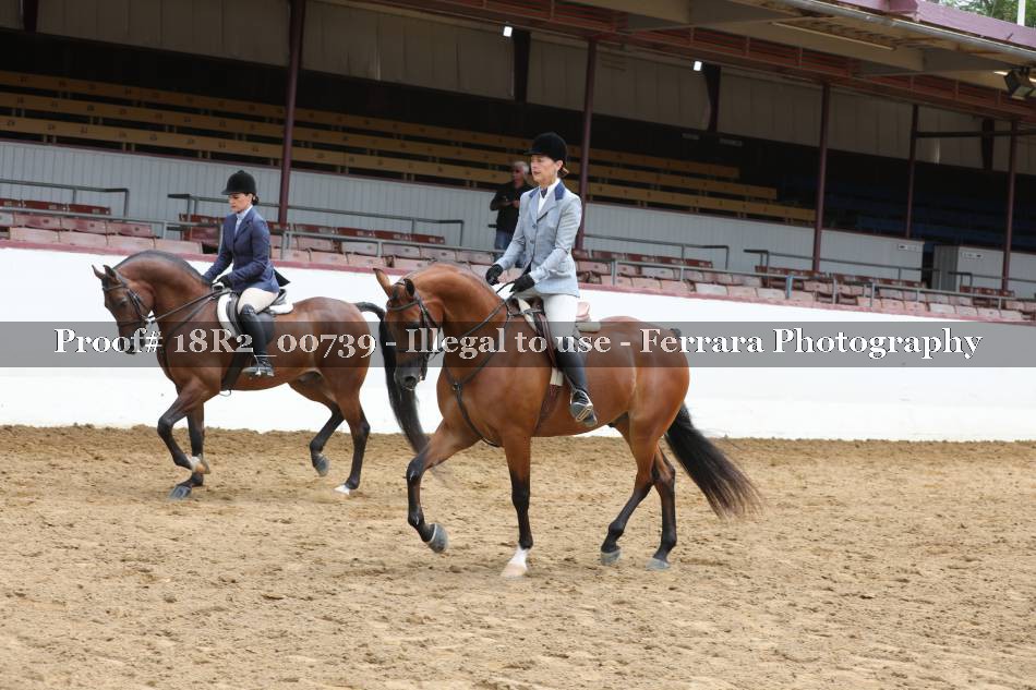 Proof 18R2_00739