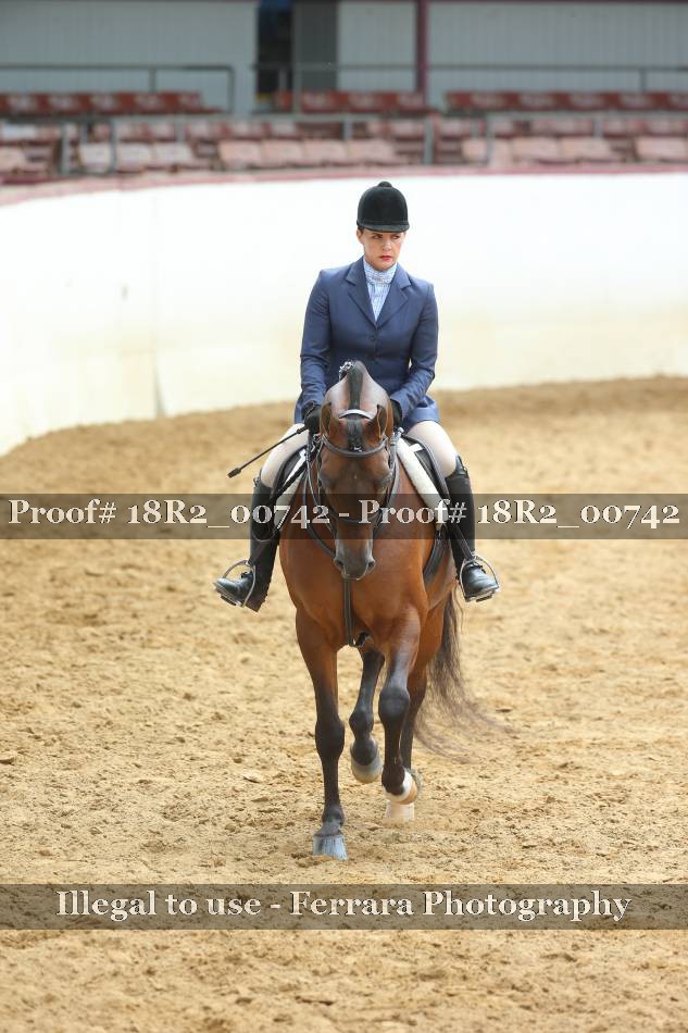 Proof 18R2_00742