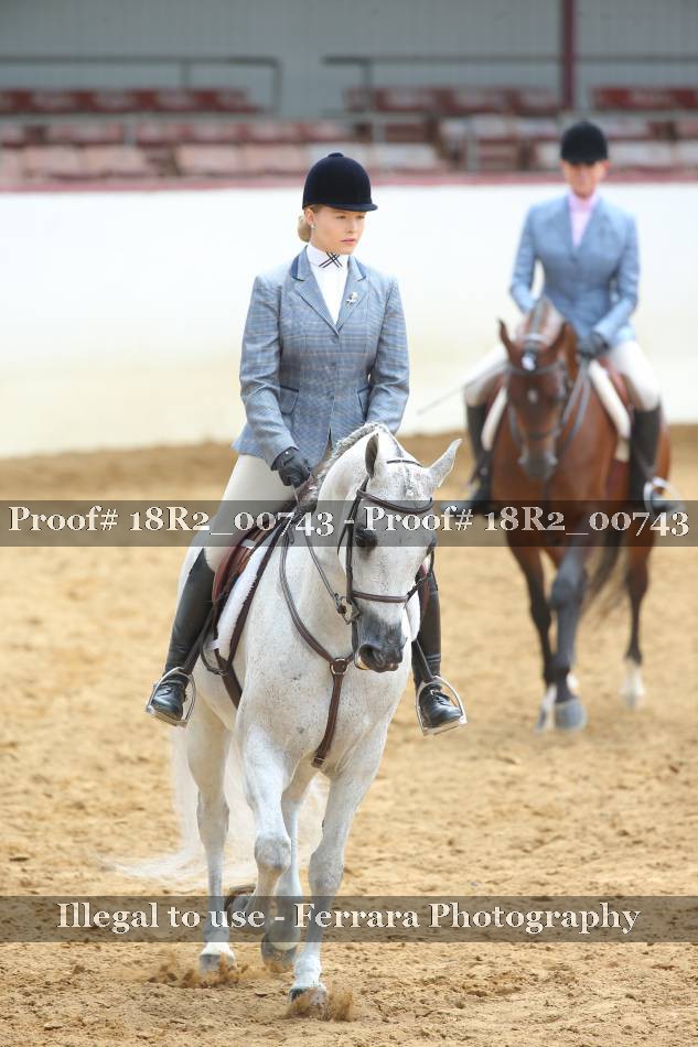 Proof 18R2_00743