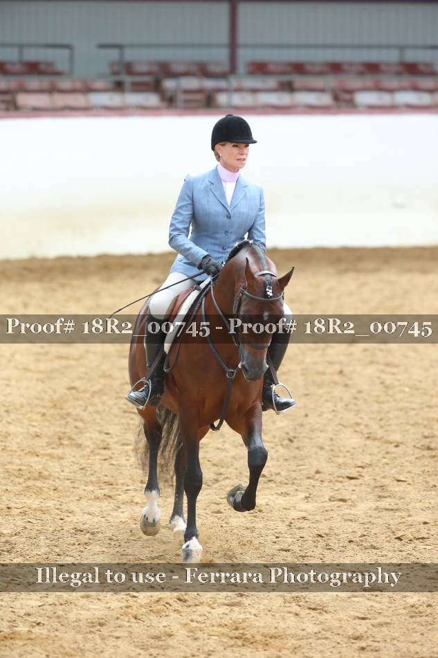 Proof 18R2_00745