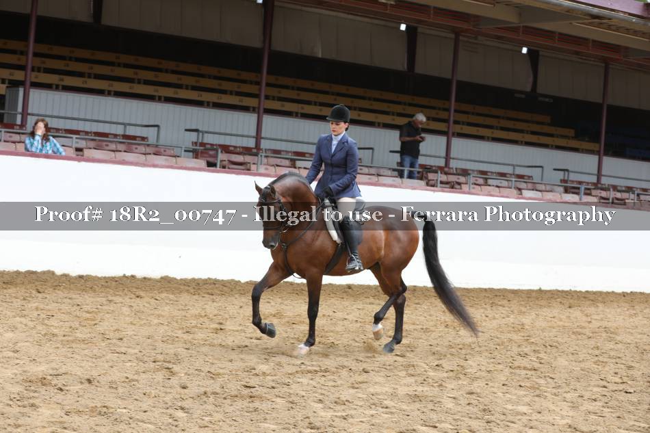 Proof 18R2_00747