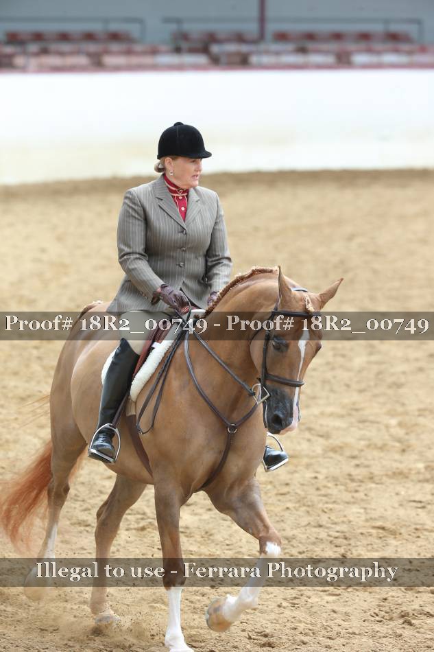 Proof 18R2_00749