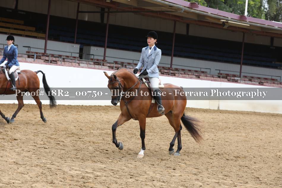 Proof 18R2_00750