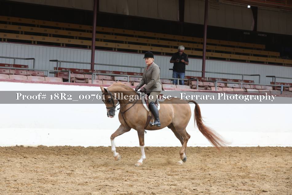 Proof 18R2_00761
