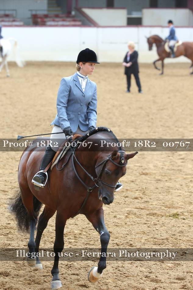 Proof 18R2_00767