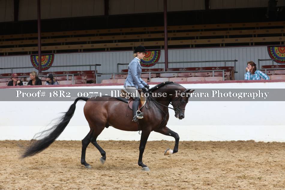 Proof 18R2_00771