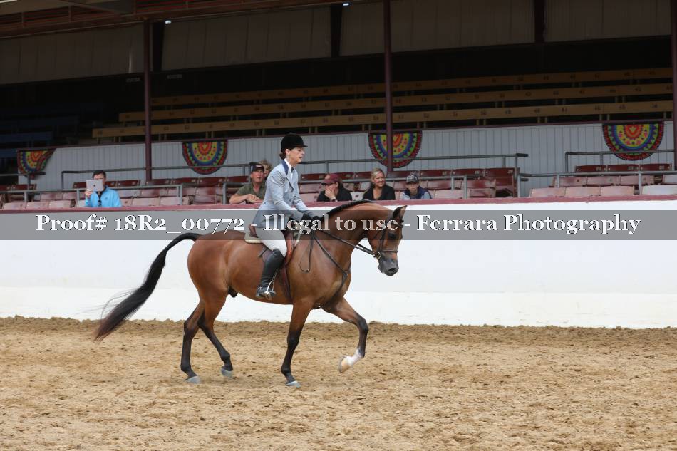 Proof 18R2_00772