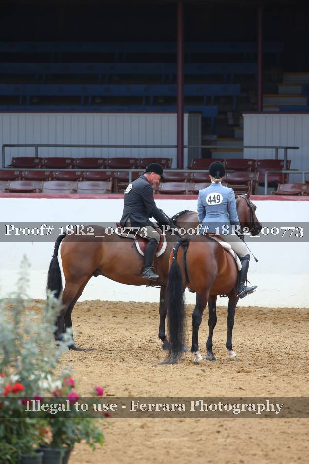 Proof 18R2_00773