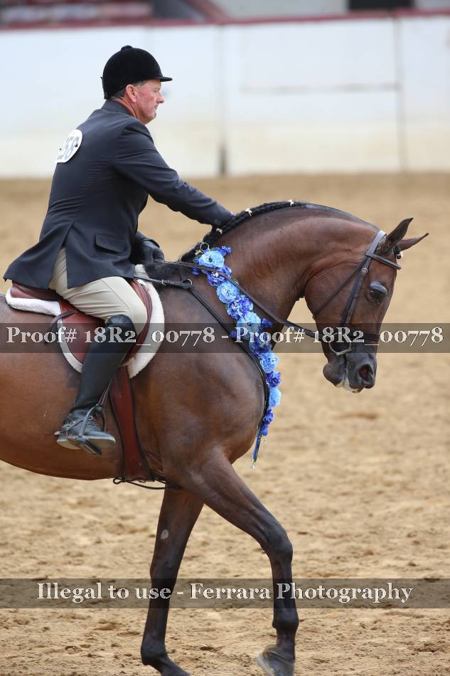 Proof 18R2_00778