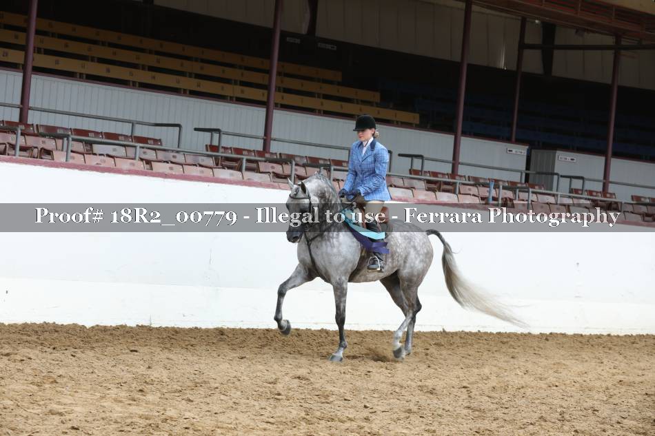 Proof 18R2_00779