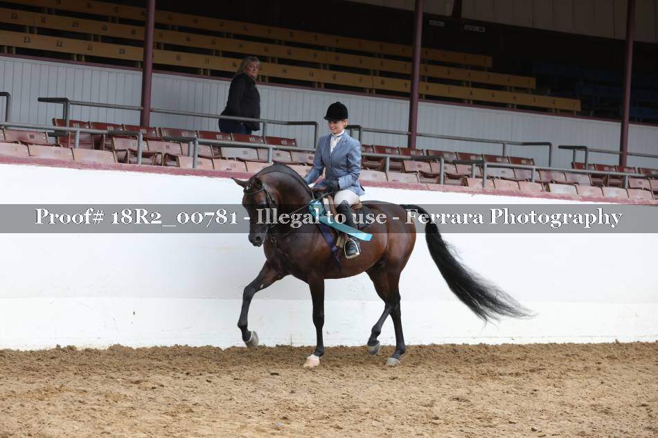 Proof 18R2_00781