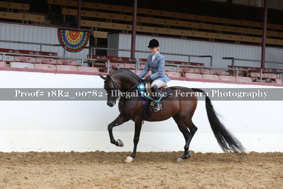 Proof 18R2_00782