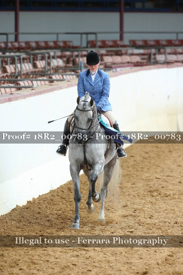Proof 18R2_00783