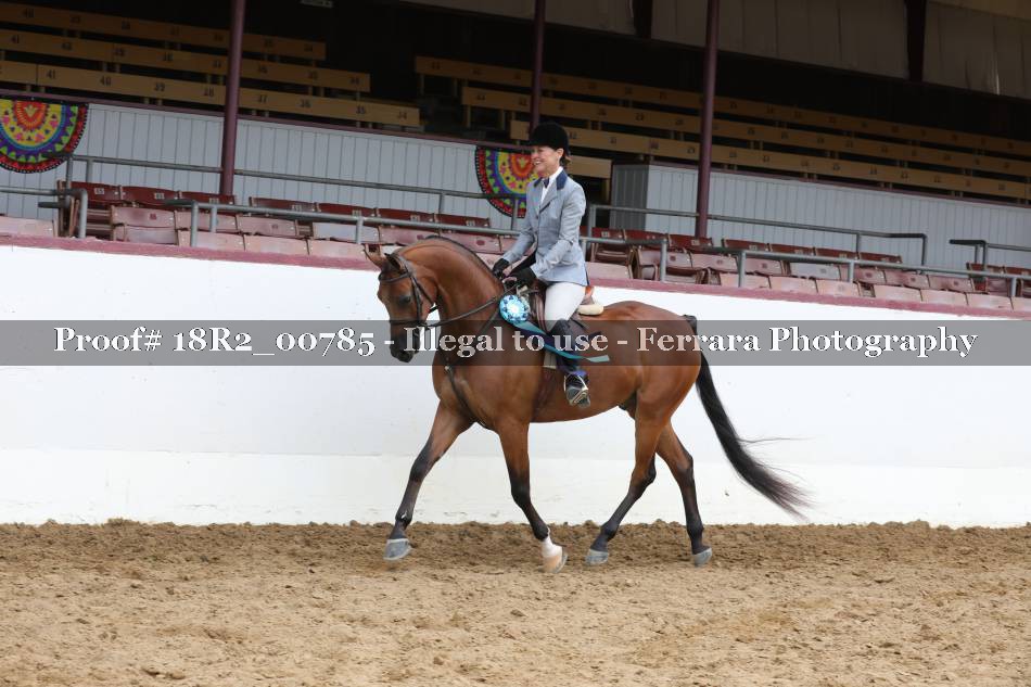 Proof 18R2_00785
