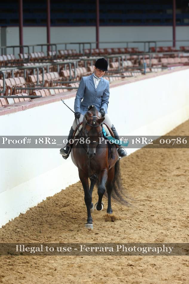 Proof 18R2_00786