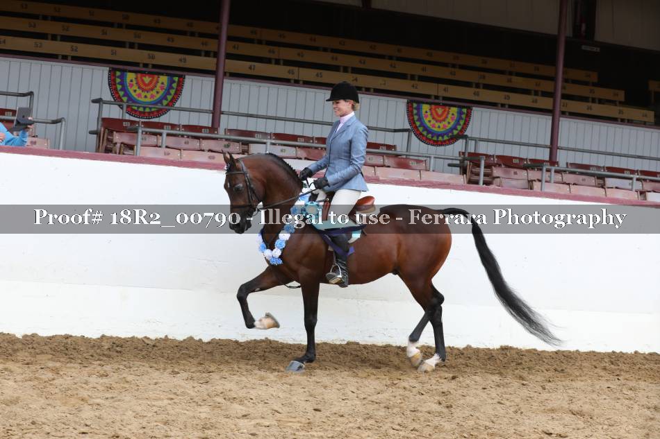 Proof 18R2_00790