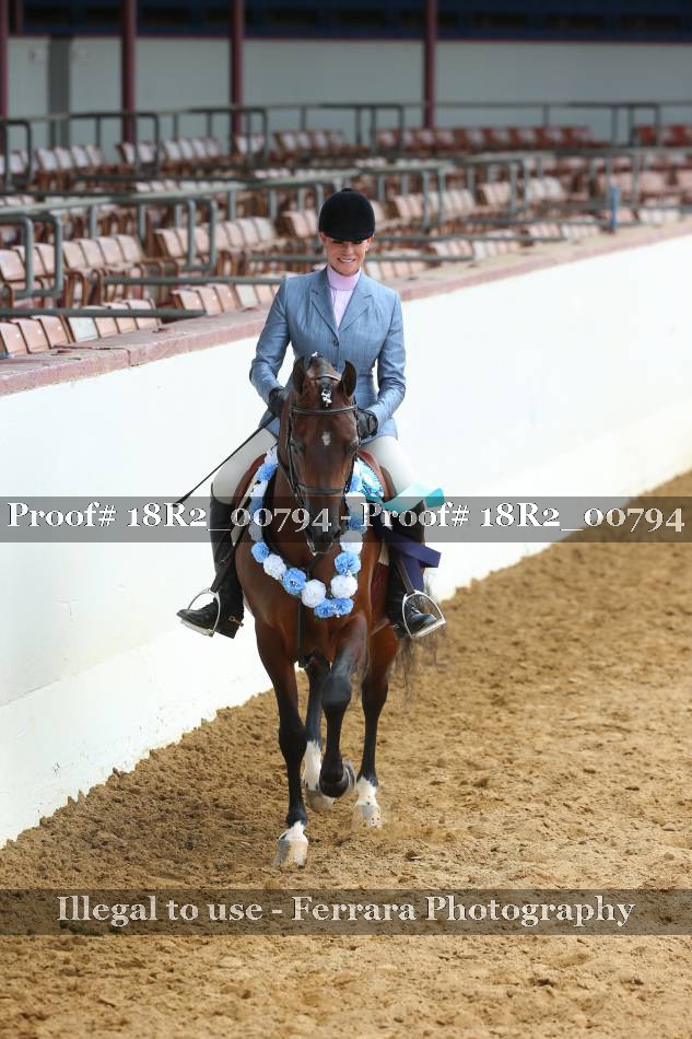 Proof 18R2_00794