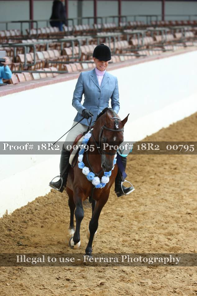 Proof 18R2_00795