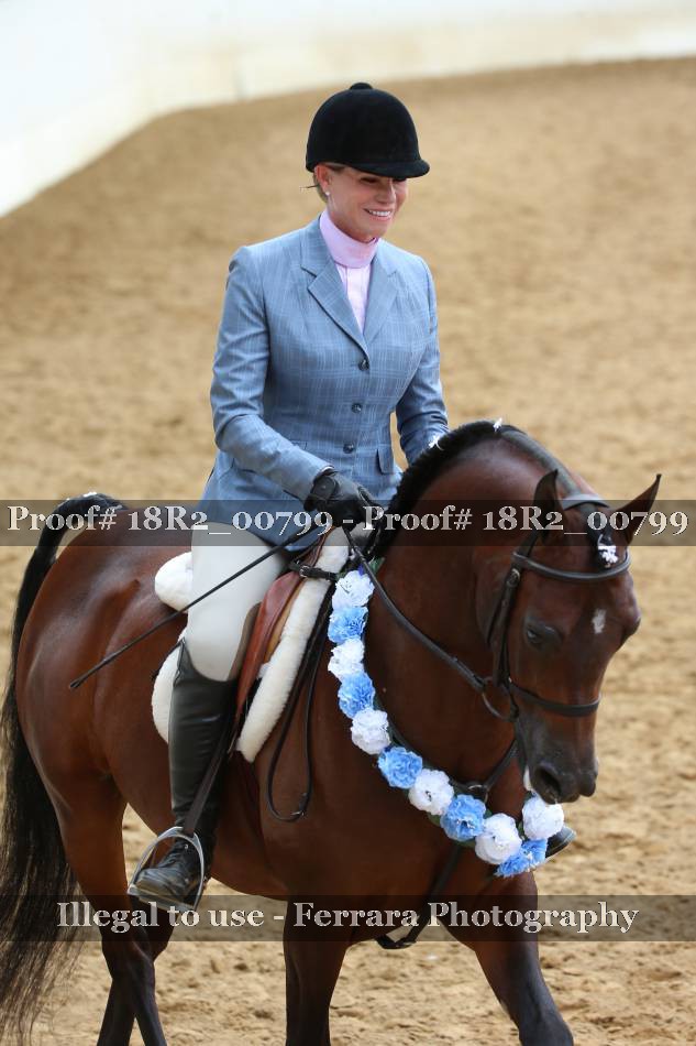 Proof 18R2_00799