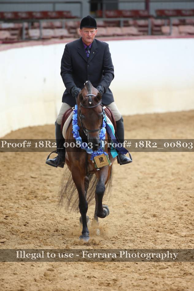 Proof 18R2_00803