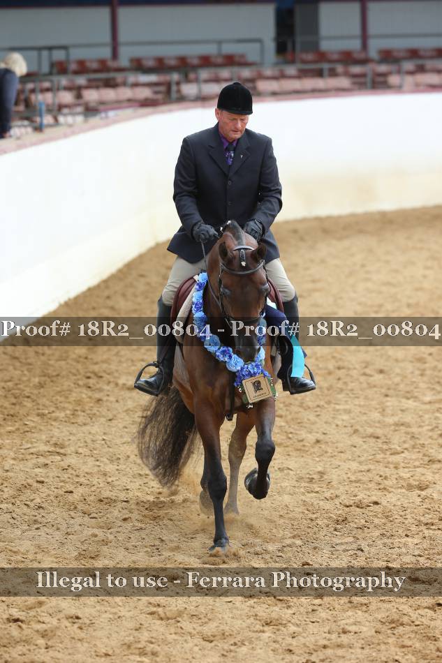 Proof 18R2_00804