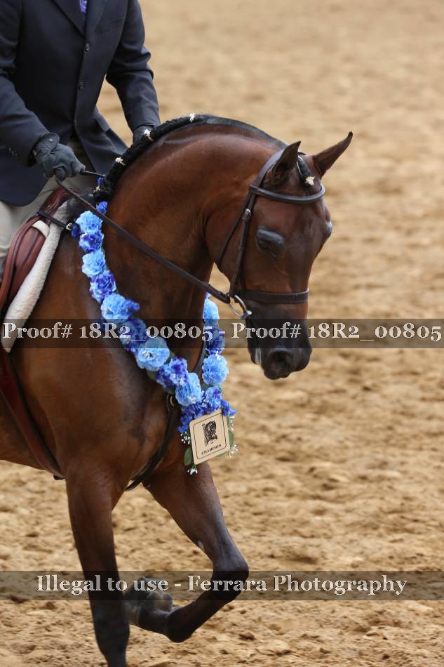 Proof 18R2_00805
