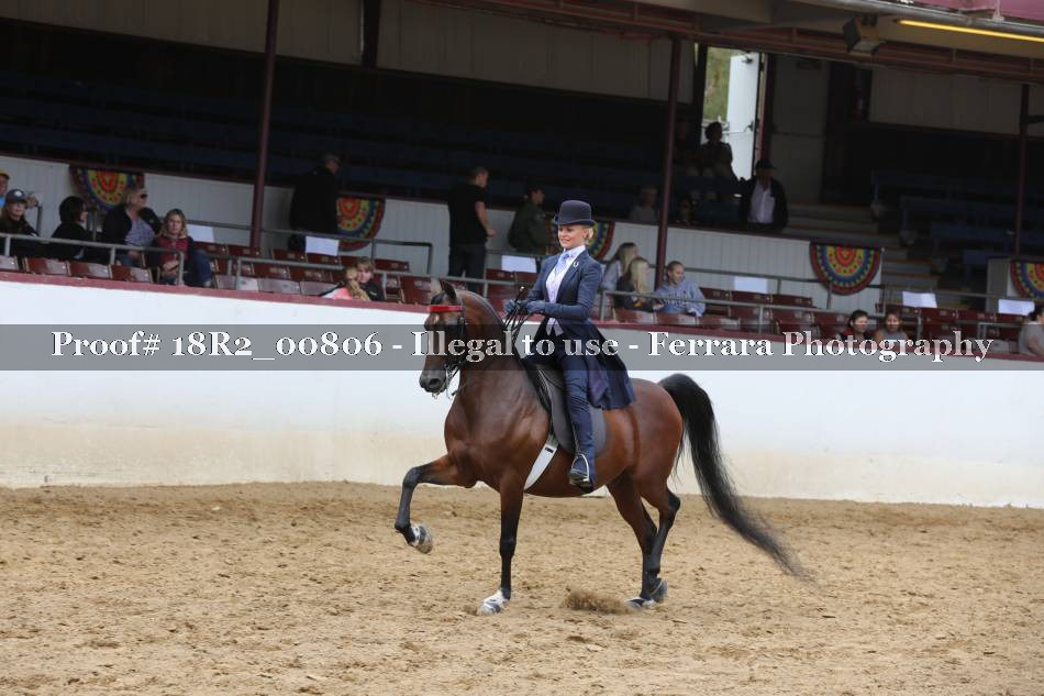 Proof 18R2_00806