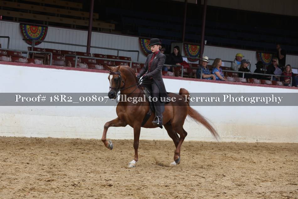 Proof 18R2_00807