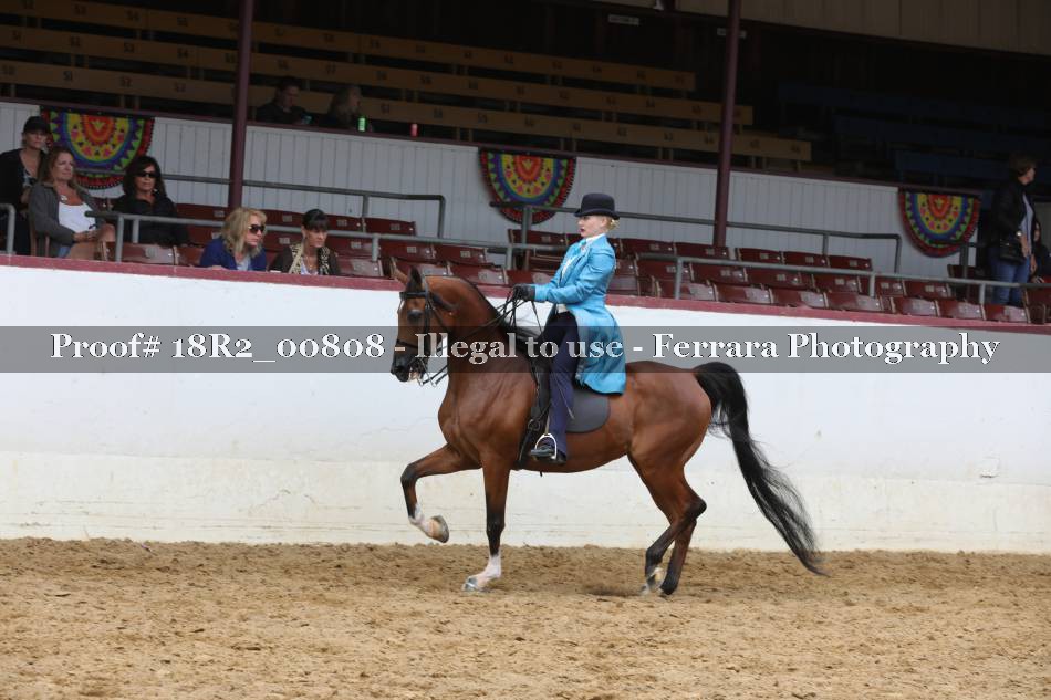 Proof 18R2_00808