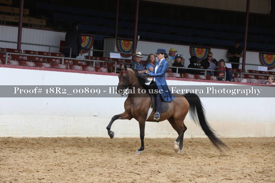 Proof 18R2_00809