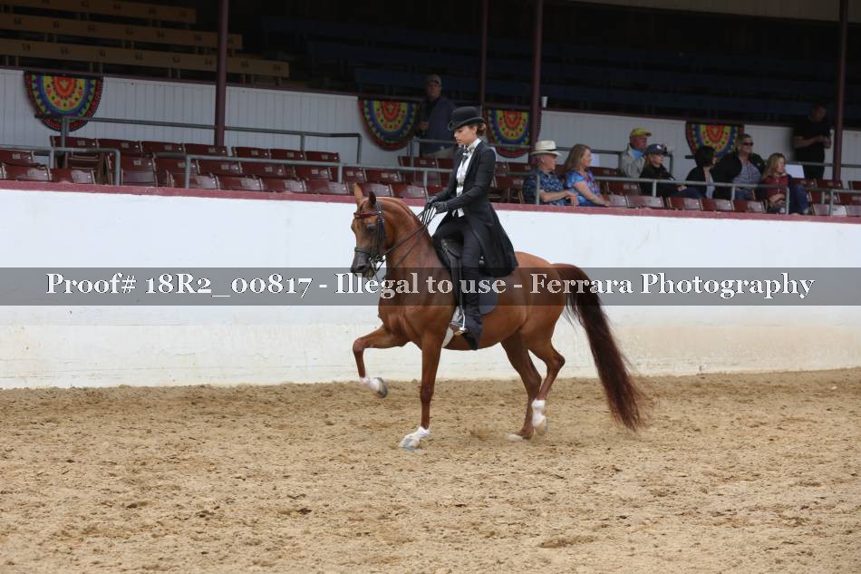 Proof 18R2_00817