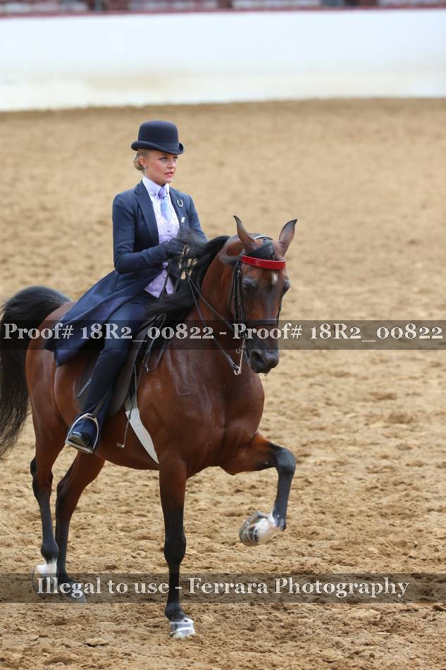Proof 18R2_00822