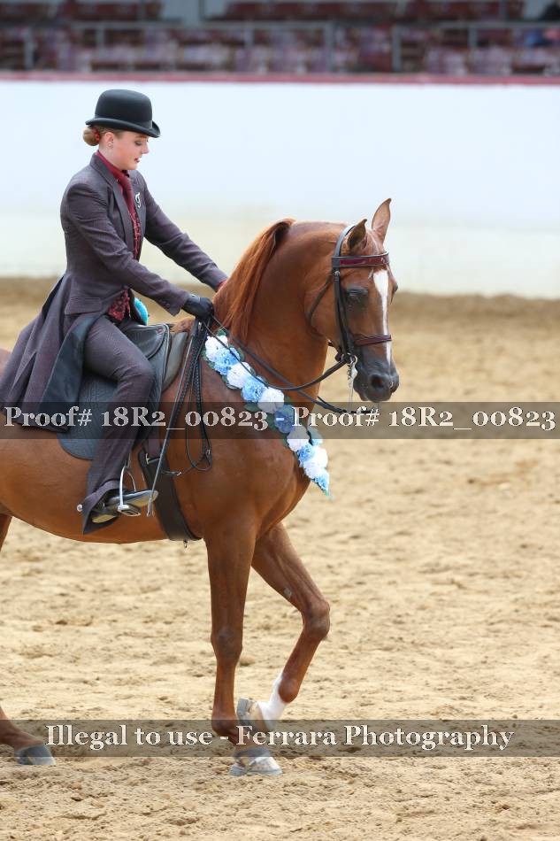 Proof 18R2_00823
