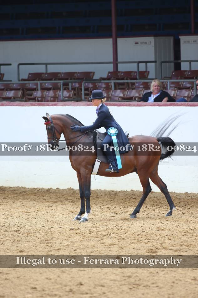 Proof 18R2_00824