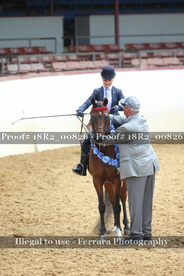 Proof 18R2_00826