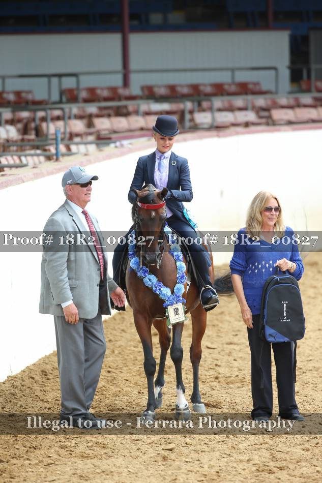 Proof 18R2_00827