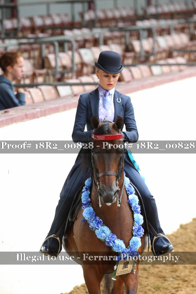Proof 18R2_00828