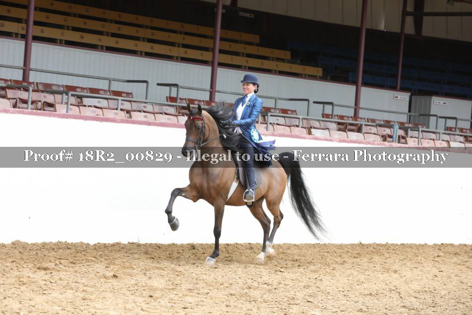 Proof 18R2_00829