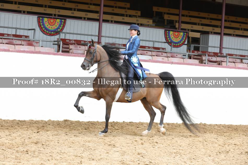 Proof 18R2_00832