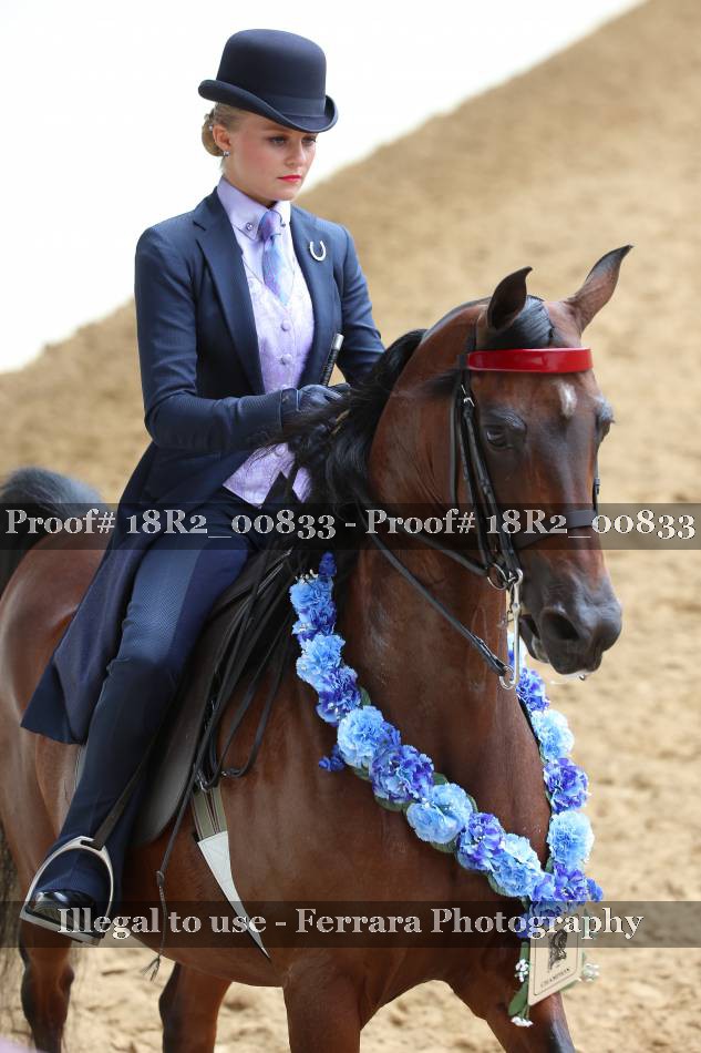 Proof 18R2_00833