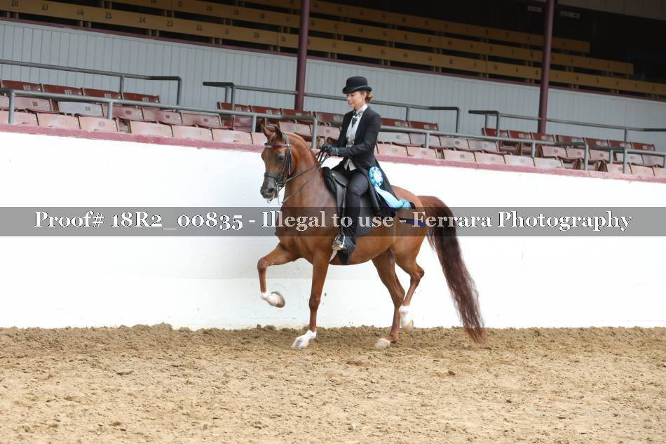 Proof 18R2_00835