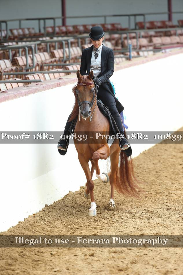 Proof 18R2_00839