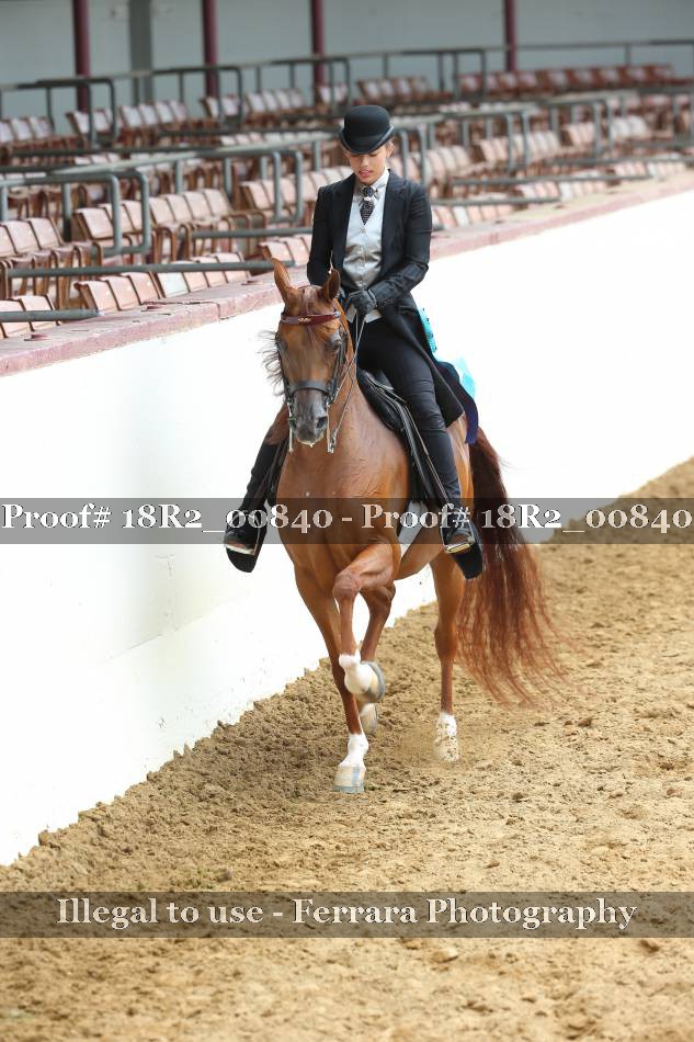 Proof 18R2_00840