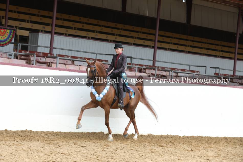 Proof 18R2_00841