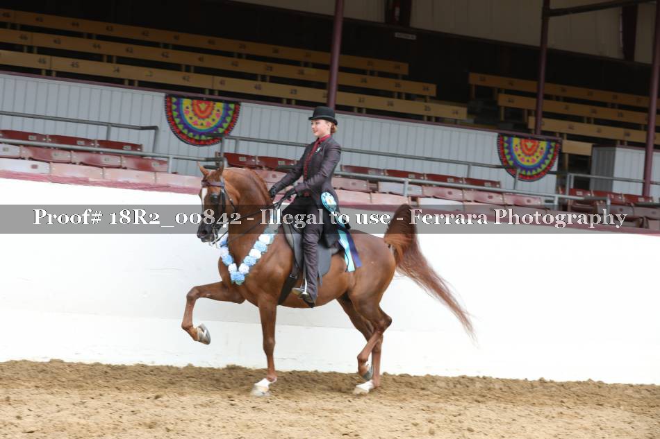 Proof 18R2_00842