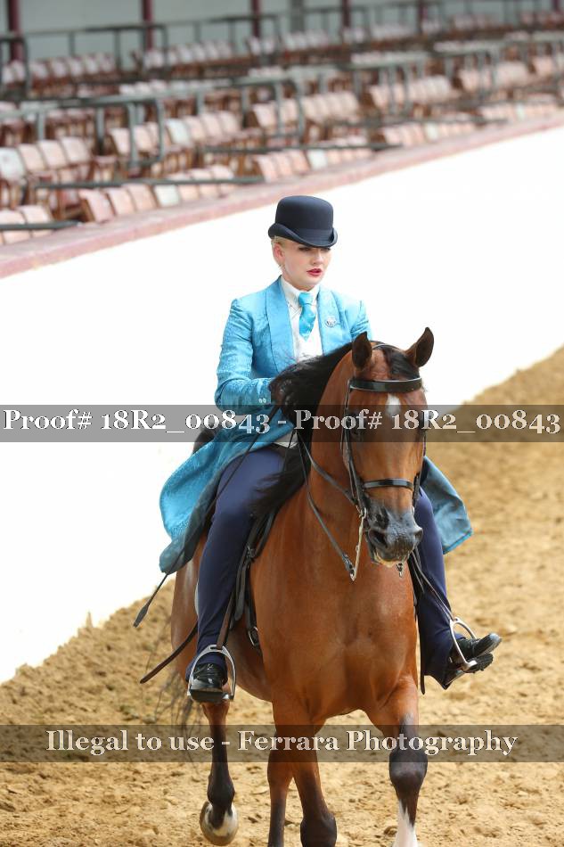 Proof 18R2_00843